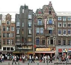 Manofa Hollandia